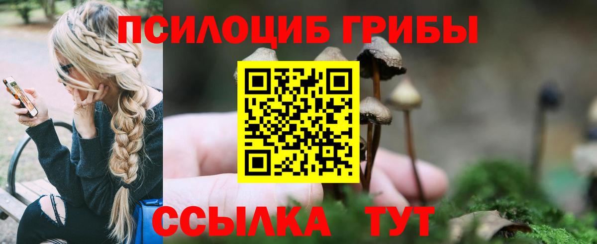 Псилоцибиновые грибы Cubensis  Вход с VPN  Тосно  Псилоцибиновые грибы MAGIC MUSHROOMS 